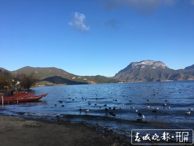 划定生态红线、滇川共治共管 泸沽湖保护的退与进 (10).jpg