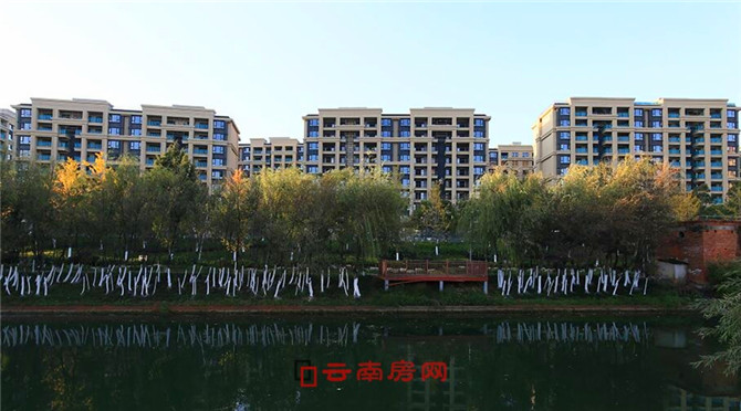 20191212081000_891 20191212081000_891