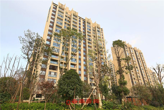 20191212081113_8832 20191212081113_8832