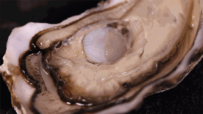 重磅!粤港澳大湾区再添黄金客运通道 重磅!粤港澳大湾区再添黄金客运通道