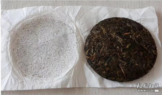 1576123858_SUrhpx 1576123858_SUrhpx