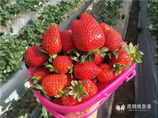 微信图片_20191227230419