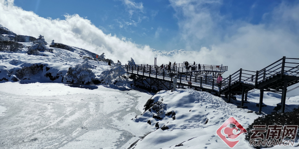 00301308937_ea728f66 00301308937_ea728f66