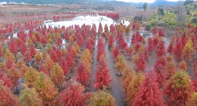 微信图片_20191231142243