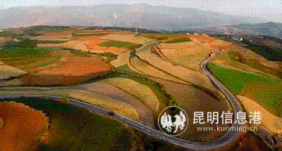 微信图片_20191231142300