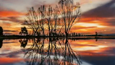 微信图片_20191231142331