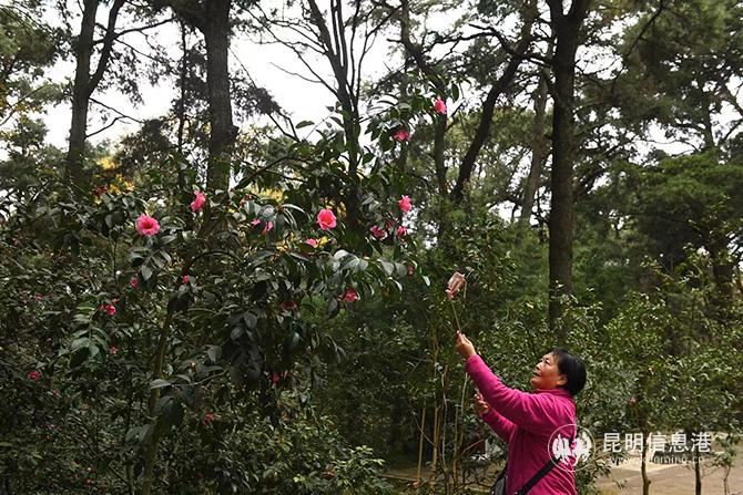 mmexport1577861419624