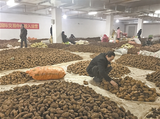 2020010402_res03_attpic_brief