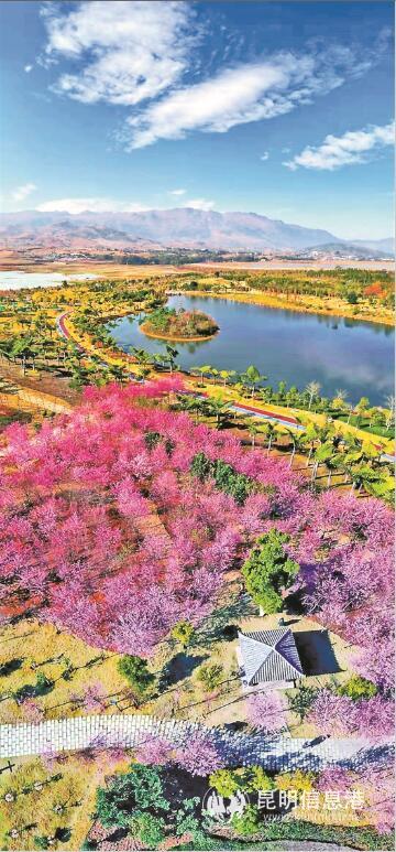 QQ截图202001070844211