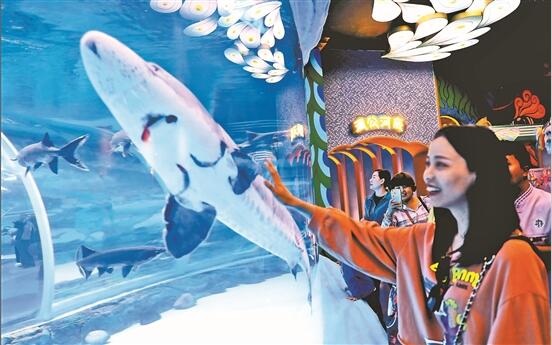 QQ截图202001070904431 QQ截图202001070904431