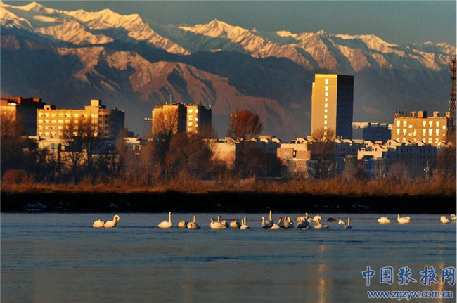 QQ截图20200107181735