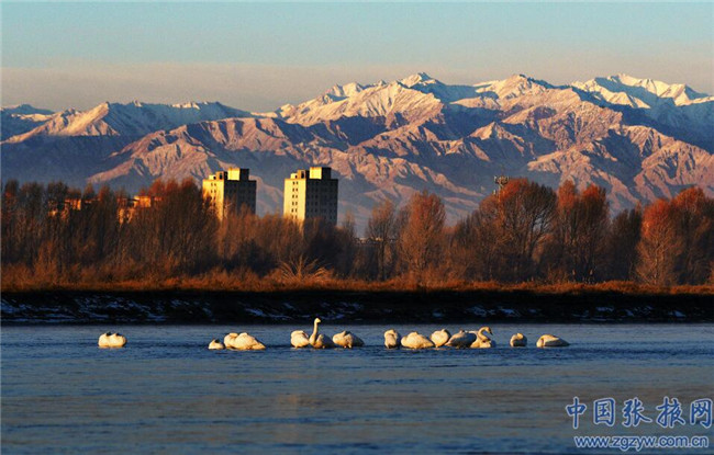 QQ截图20200107181750