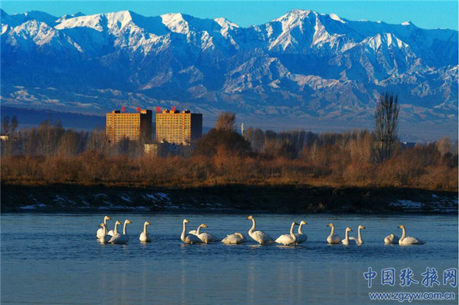 QQ截图20200107181801