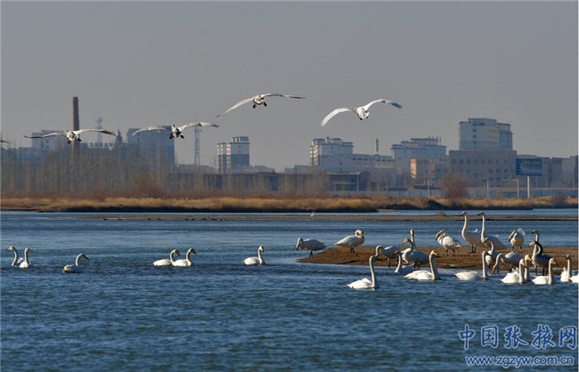 QQ截图20200107181815