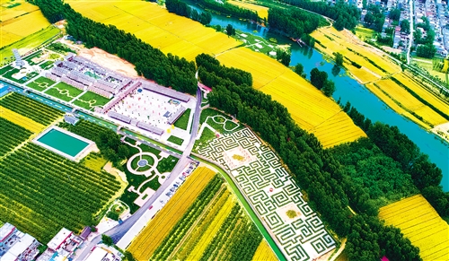 res01_attpic_brief (2).jpg