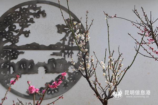 mmexport1578656223946