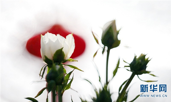 138710253_15791673234001n