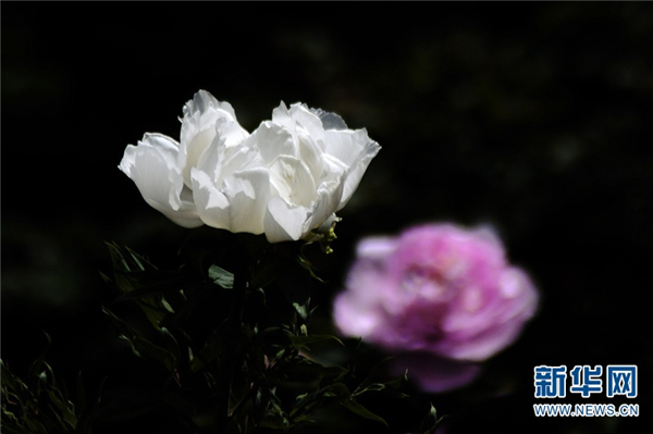 138710253_15791673234391n