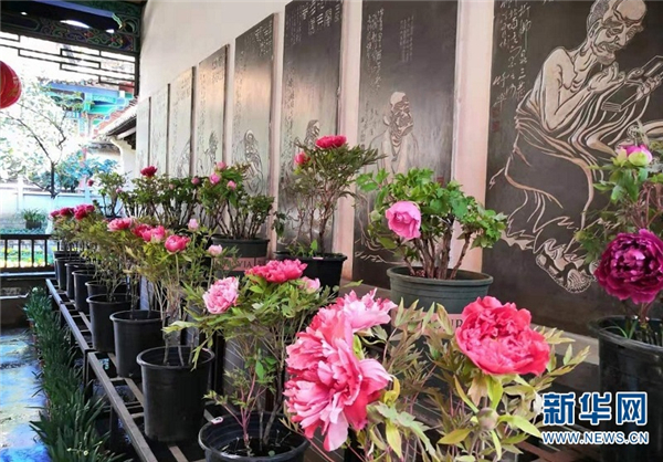 138710253_15791673235191n