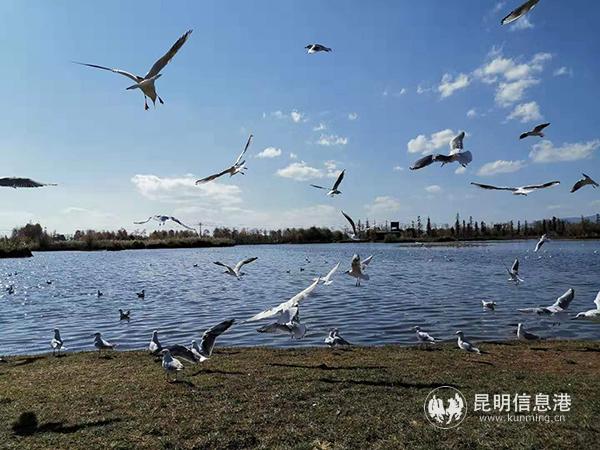 微信图片_20200106102111