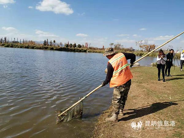 飘浮物现在少了，李艳伟的工作也轻松了