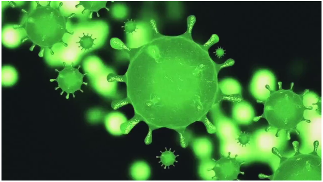 TIM截图20200203161502