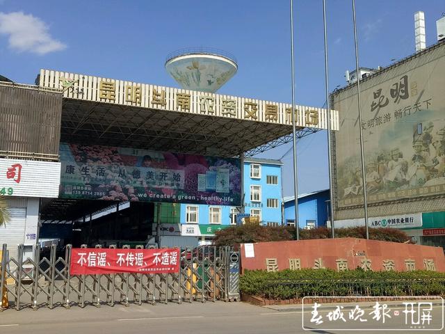 探访斗南花市,80%以上鲜切花线上交易 (7).jpg