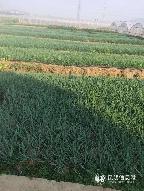 QQ图片20200209113736