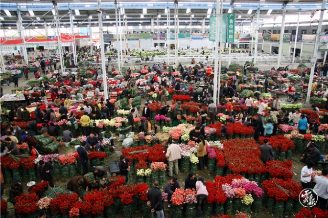 GetAttachment1.jpg GetAttachment1.jpg