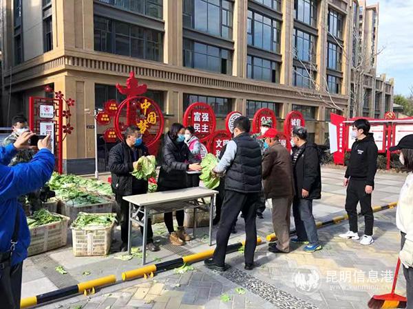图3：好邻居群业主们正在向小区居民发放捐赠的蔬菜