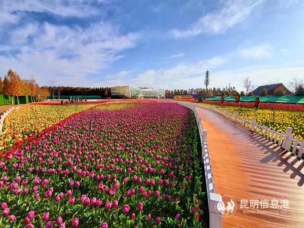 QQ图片20200219091807 QQ图片20200219091807