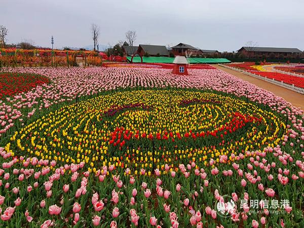 QQ图片20200219091804 QQ图片20200219091804