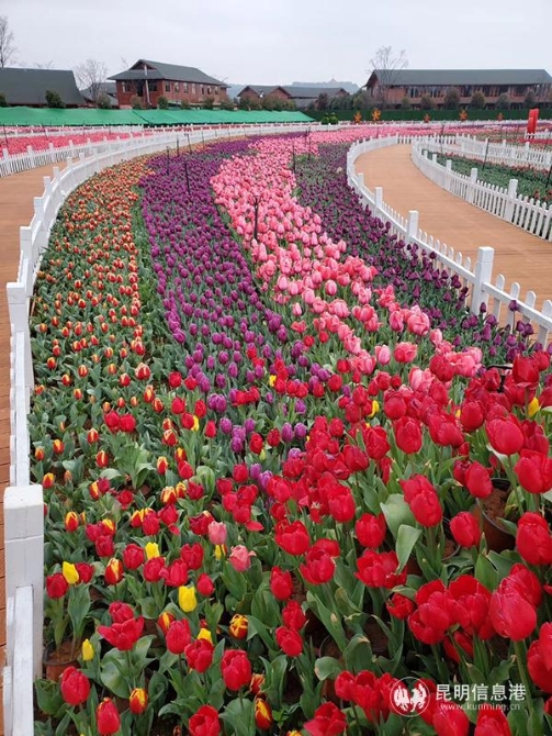 QQ图片20200219091800 QQ图片20200219091800