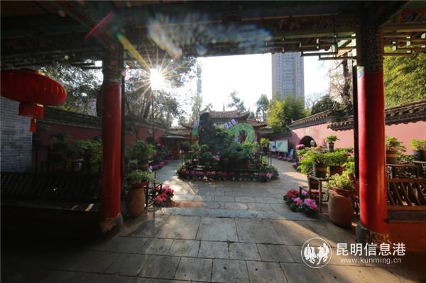 mmexport1582198880423