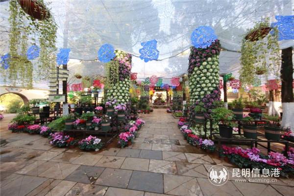 mmexport1582198888110