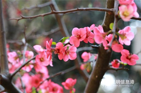 mmexport1582198912455