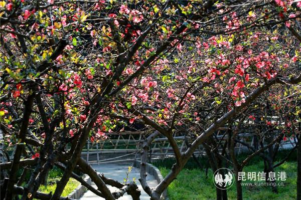 mmexport1582198920071