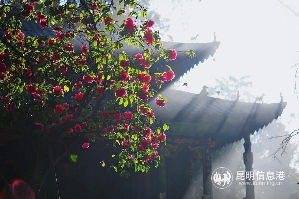 mmexport1582277964276