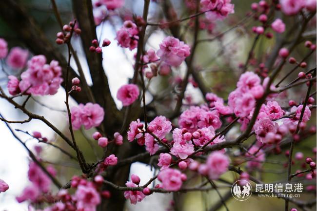 mmexport1582376502840