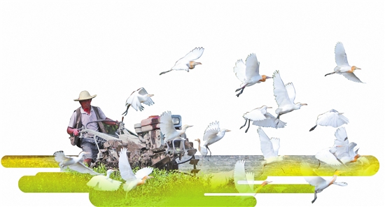 2020022305_res03_attpic_brief