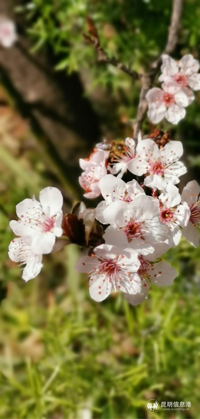 mmexport1582227196048