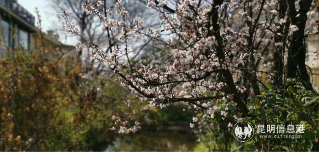 mmexport1582227262758