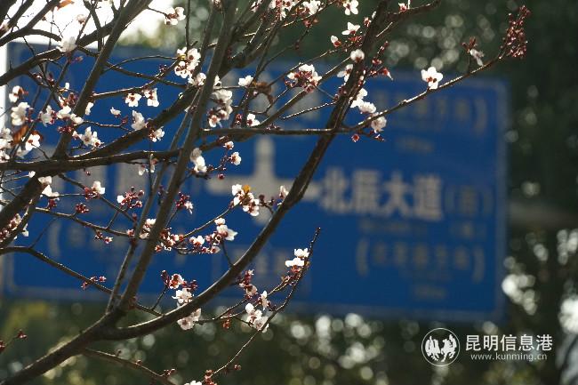 mmexport1582388056100