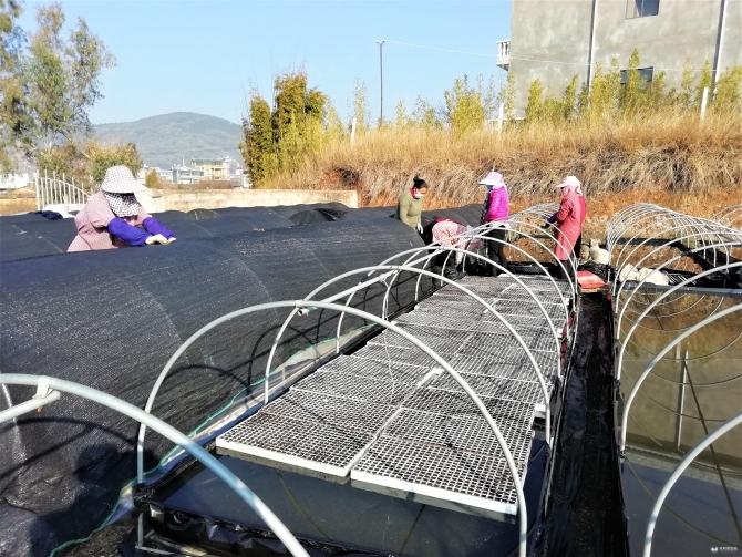 f23a7094ae8a40f1277ee338a8100c6