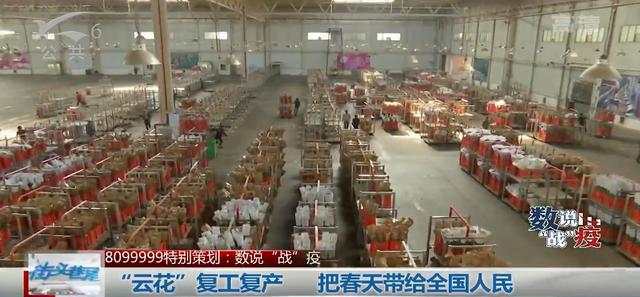 云南鲜花复工复产2.jpeg