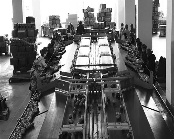 QQ截图20200305092608