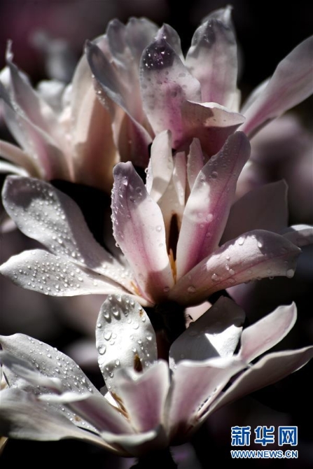 005056b885bc1fc9576409 005056b885bc1fc9576409