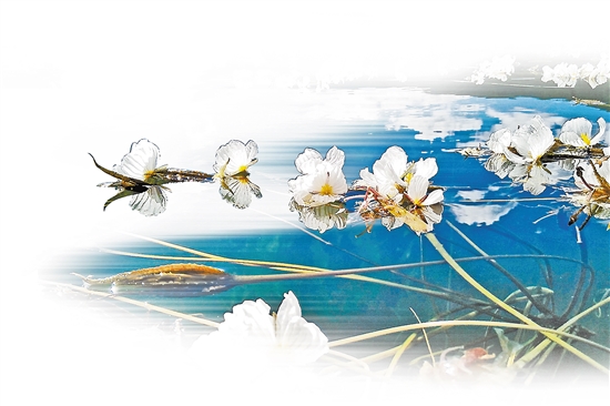 2020030707_res15_attpic_brief