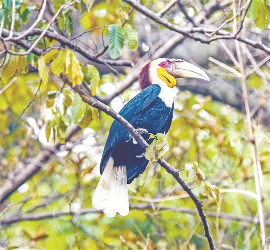 2020030707_res03_attpic_brief