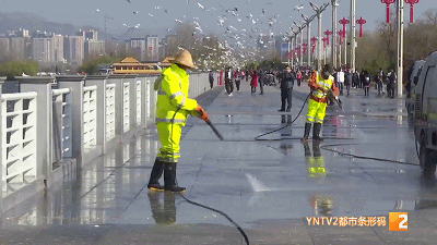 昆明景区恢复开放